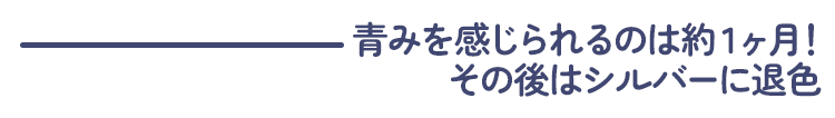 《アッシュブルー》は青みを感じられるのは約1ヶ月！その後はシルバーに退色