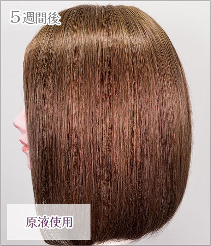 エンシェールズカラーバター