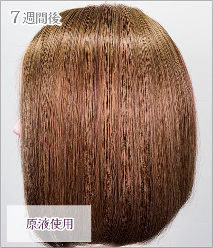 エンシェールズカラーバター