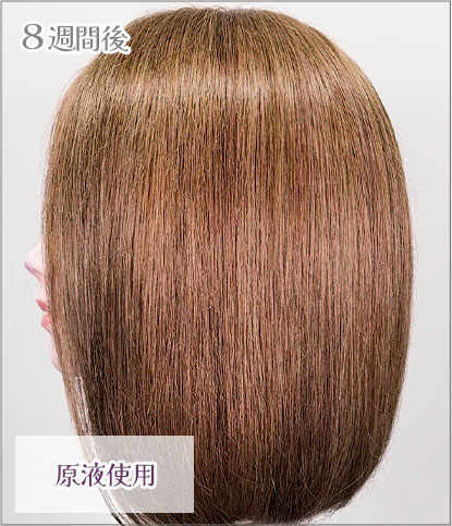 エンシェールズカラーバター