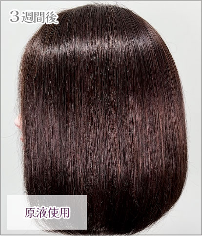 エンシェールズカラーバター