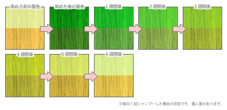 エンシェールズカラーバター《ヘンプグリーン》退色過程