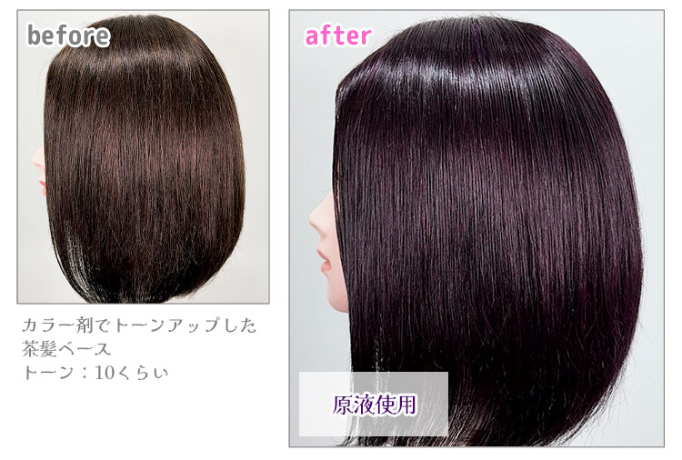 カラー剤で明るくした茶髪ベース《ショッキングパープル》使用例