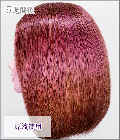 エンシェールズカラーバター