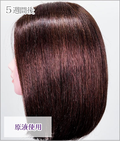 エンシェールズカラーバター